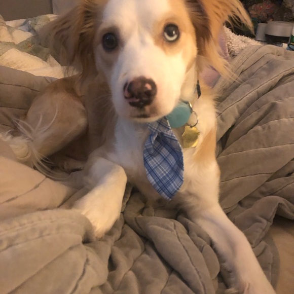 Meet your Posher,  @cutiee23 - Picture 4 of 7